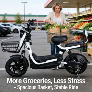 Export High Quality Bike 800W Electric MotorBike Battery Storage 48V12A