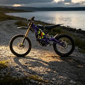 Surron Light Bee X 2026 Electric Motocross Bike Zero Emission Off Road Racing Enduro Outdoor Adventure Riding Ready to Go