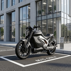 Roywell EEC Adult Racing Electric Motorcycle Motocross 20kW Peak Mid-Drive