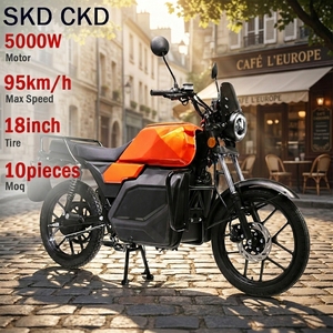 5000W 6000W Electric Motorcycle High Speed Adult Touring