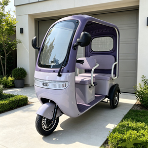 Wholesale Semi-open Electric Tricycle 650W Long Range Electric Trike
